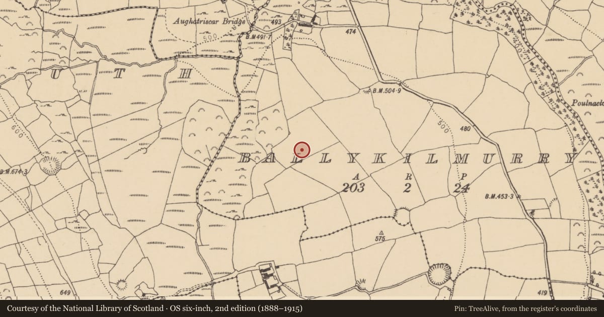 Ordnance Survey six-inch map, 2nd edition (1888–1915) covering the location of Ringfort - unclassified, Ballykilmurry, County Waterford, with a pin at the register's coordinates