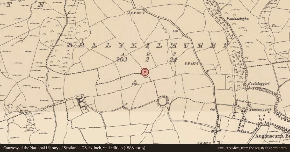 Ordnance Survey six-inch map, 2nd edition (1888–1915) covering the location of Cairn - clearance cairn, Ballykilmurry, County Waterford, with a pin at the register's coordinates