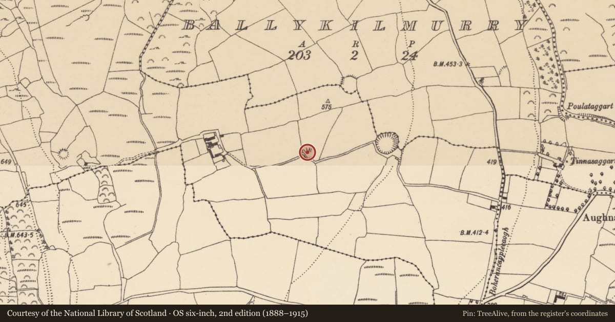 Ordnance Survey six-inch map, 2nd edition (1888–1915) covering the location of Enclosure, Cutteen South, County Waterford, with a pin at the register's coordinates