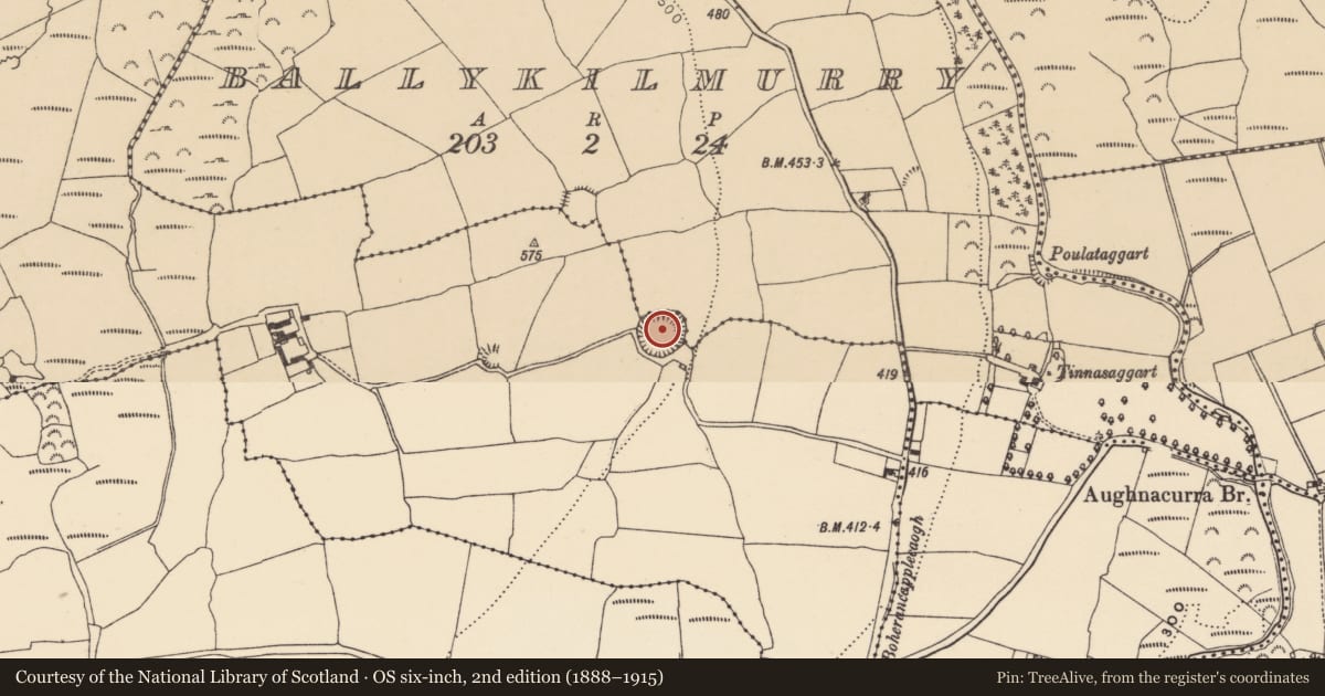 Ordnance Survey six-inch map, 2nd edition (1888–1915) covering the location of Ringfort - rath, Ballykilmurry, Cutteen South, County Waterford, with a pin at the register's coordinates