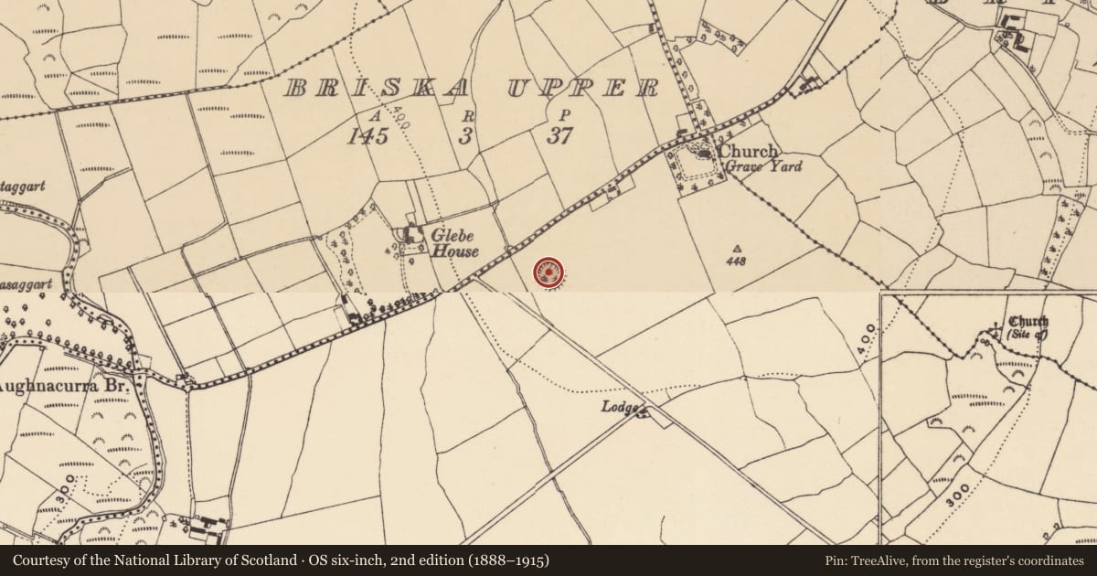 Ordnance Survey six-inch map, 2nd edition (1888–1915) covering the location of Ringfort - rath, Gortnalaght, County Waterford, with a pin at the register's coordinates