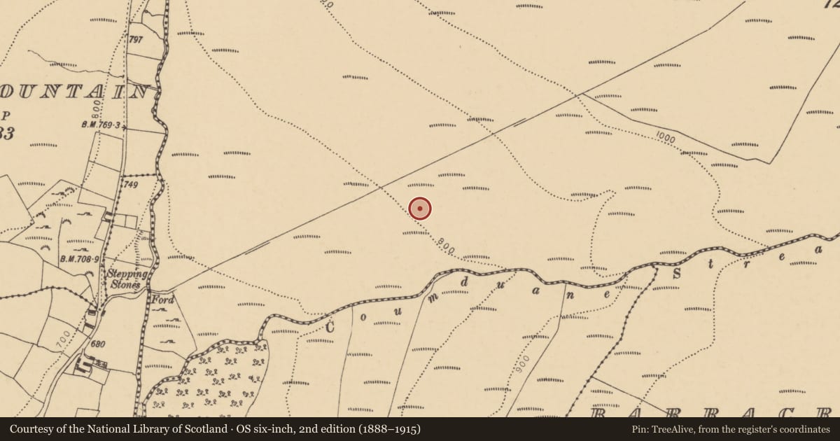 Ordnance Survey six-inch map, 2nd edition (1888–1915) covering the location of Cairnfield, Carrigbrack, County Waterford, with a pin at the register's coordinates