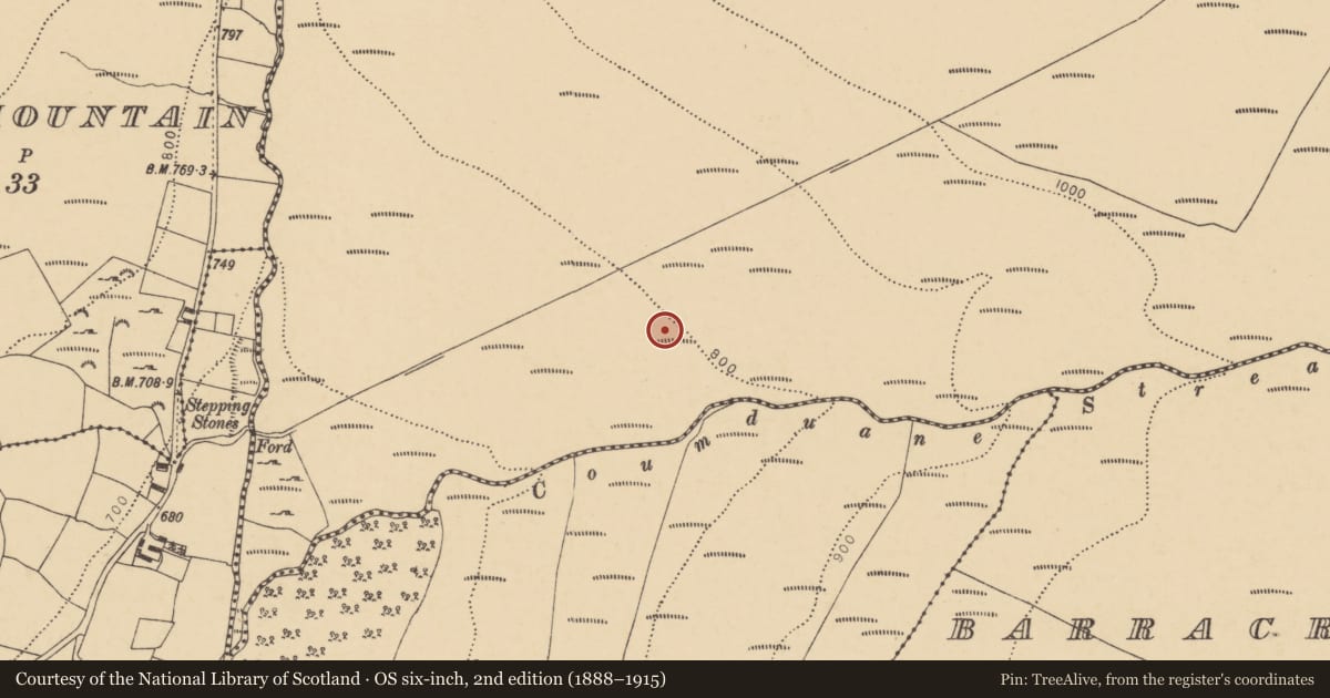 Ordnance Survey six-inch map, 2nd edition (1888–1915) covering the location of Field boundary, Carrigbrack, County Waterford, with a pin at the register's coordinates