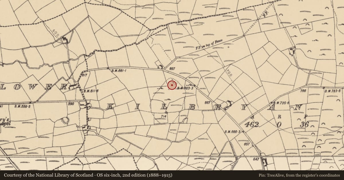 Ordnance Survey six-inch map, 2nd edition (1888–1915) covering the location of Standing stone - pair, Kilbryan Upper, County Waterford, with a pin at the register's coordinates