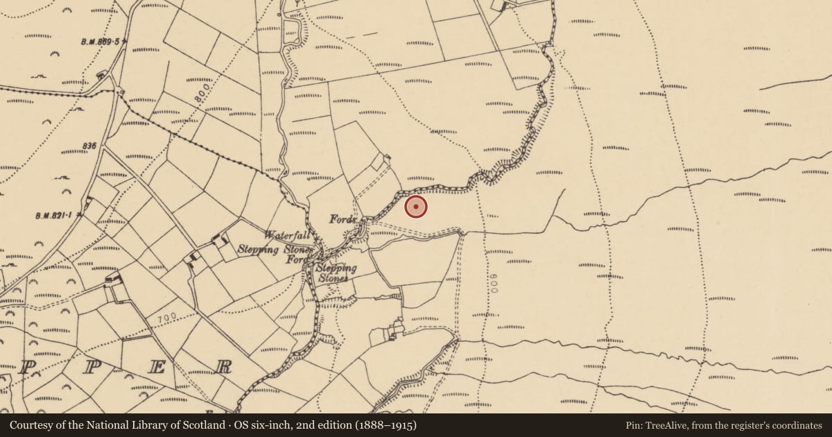Ordnance Survey six-inch map, 2nd edition (1888–1915) covering the location of Stone row, Coumaraglinmountain, County Waterford, with a pin at the register's coordinates