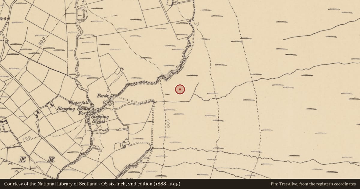 Ordnance Survey six-inch map, 2nd edition (1888–1915) covering the location of Fulacht fia, Coumaraglinmountain, County Waterford, with a pin at the register's coordinates