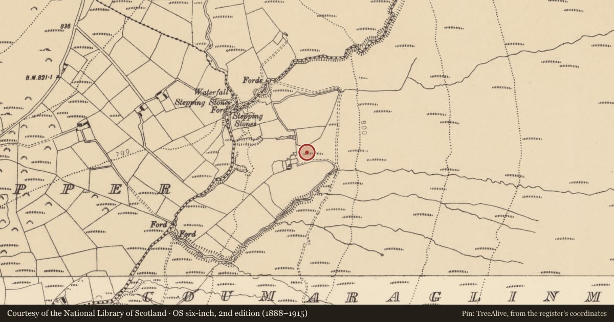 Ordnance Survey six-inch map, 2nd edition (1888–1915) covering the location of Standing stone - pair, Coumaraglinmountain, County Waterford, with a pin at the register's coordinates