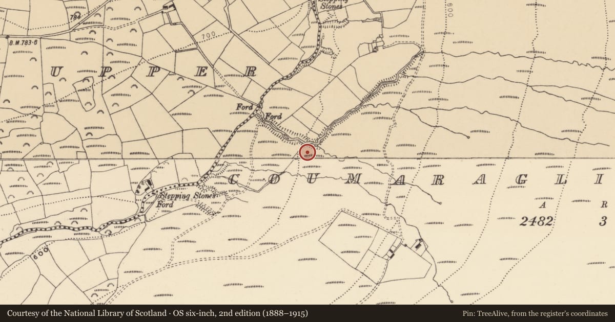 Ordnance Survey six-inch map, 2nd edition (1888–1915) covering the location of Cairn - cairn circle, Coumaraglinmountain, County Waterford, with a pin at the register's coordinates