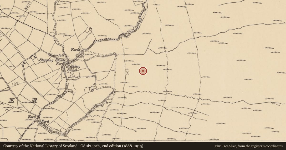 Ordnance Survey six-inch map, 2nd edition (1888–1915) covering the location of Booley hut, Coumaraglinmountain, County Waterford, with a pin at the register's coordinates