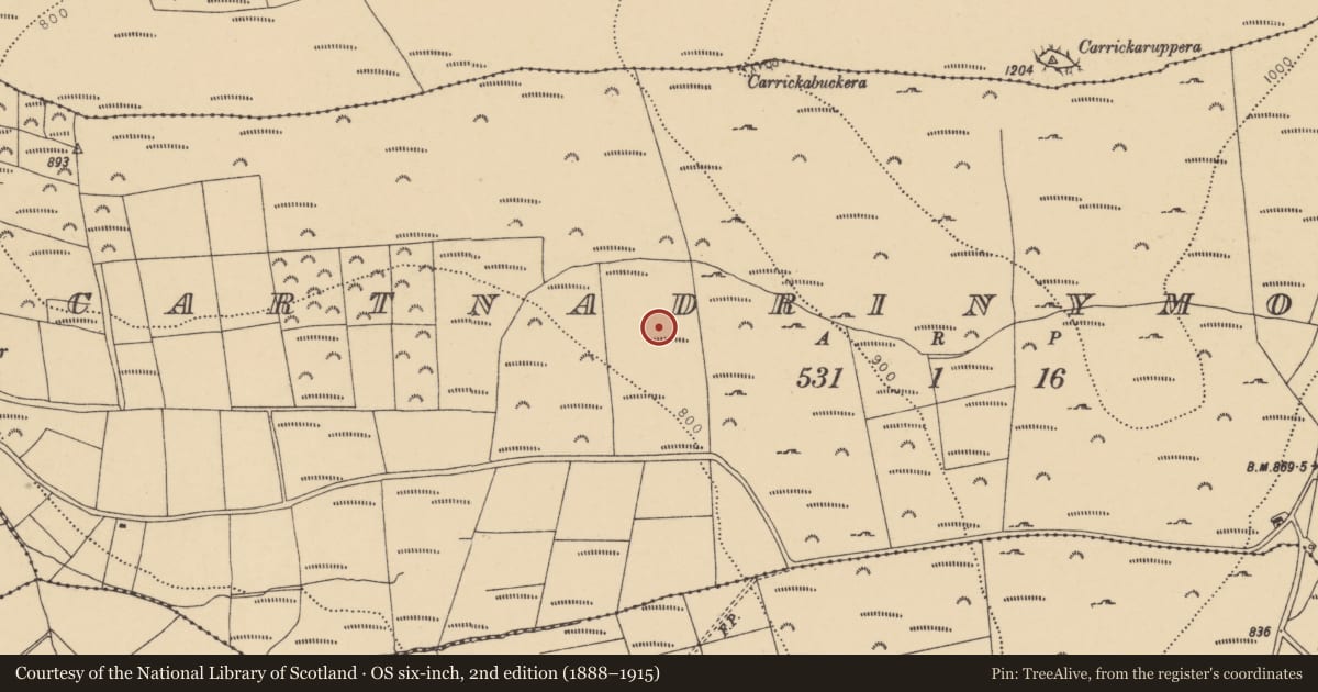 Ordnance Survey six-inch map, 2nd edition (1888–1915) covering the location of Hut site, Scartnadrinymountain, County Waterford, with a pin at the register's coordinates