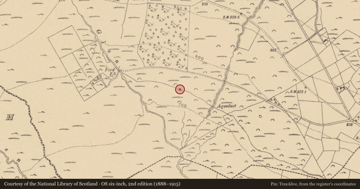 Ordnance Survey six-inch map, 2nd edition (1888–1915) covering the location of Fulacht fia, Comeraghmountain, County Waterford, with a pin at the register's coordinates