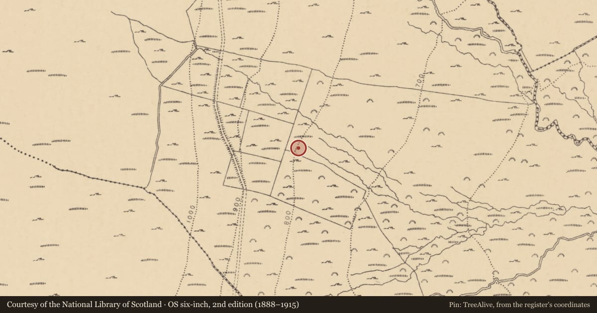 Ordnance Survey six-inch map, 2nd edition (1888–1915) covering the location of Fulacht fia, Cutteen North, County Waterford, with a pin at the register's coordinates