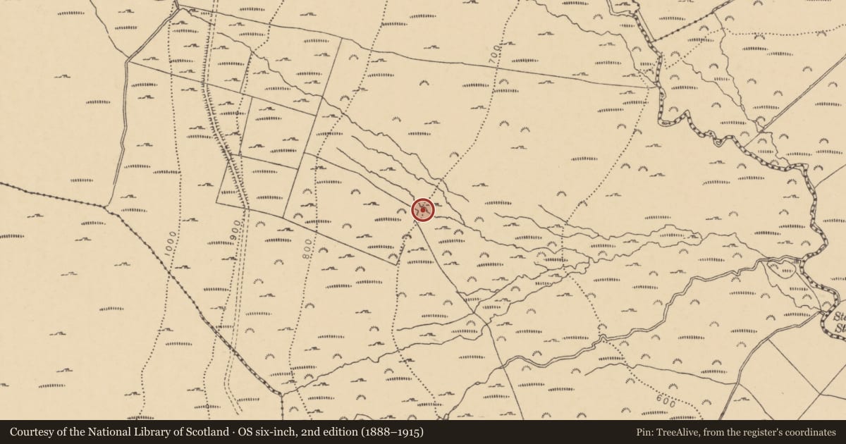 Ordnance Survey six-inch map, 2nd edition (1888–1915) covering the location of Fulacht fia, Cutteen North, County Waterford, with a pin at the register's coordinates