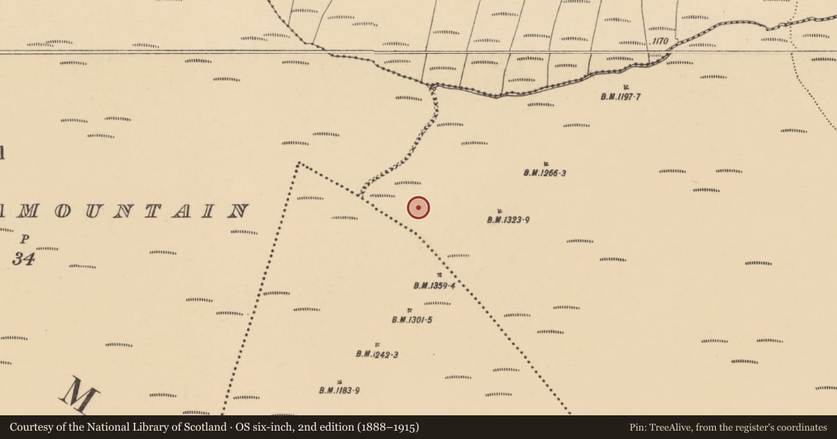 Ordnance Survey six-inch map, 2nd edition (1888–1915) covering the location of Cairn - unclassified, Tooreenmountain, County Waterford, with a pin at the register's coordinates