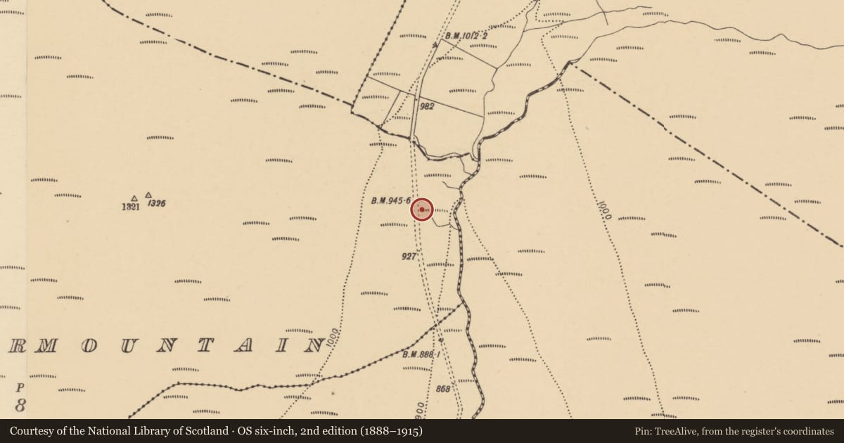 Ordnance Survey six-inch map, 2nd edition (1888–1915) covering the location of Standing stone, Bleantasour Mountain, County Waterford, with a pin at the register's coordinates