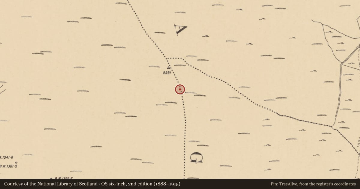 Ordnance Survey six-inch map, 2nd edition (1888–1915) covering the location of Cairn - unclassified, Cutteen South, County Waterford, with a pin at the register's coordinates