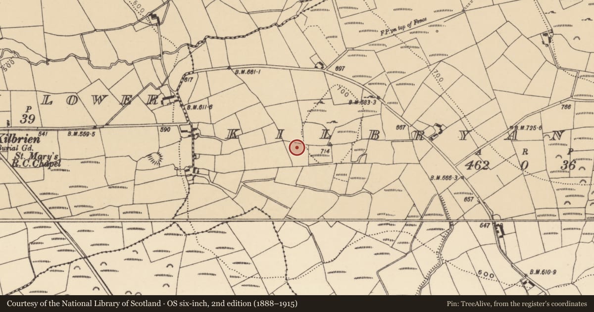 Ordnance Survey six-inch map, 2nd edition (1888–1915) covering the location of Standing stone, Kilbryan Upper, County Waterford, with a pin at the register's coordinates