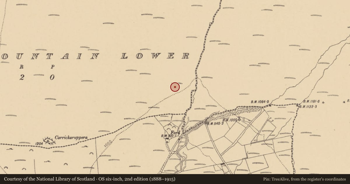 Ordnance Survey six-inch map, 2nd edition (1888–1915) covering the location of Enclosure, Barracreemountain Lower, County Waterford, with a pin at the register's coordinates