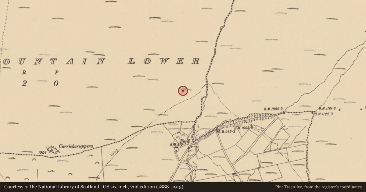 Ordnance Survey six-inch map, 2nd edition (1888–1915) covering the location of Hut site, Barracreemountain Lower, County Waterford, with a pin at the register's coordinates