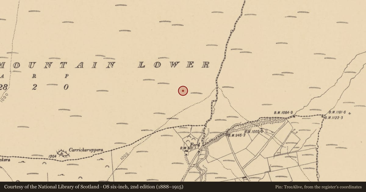 Ordnance Survey six-inch map, 2nd edition (1888–1915) covering the location of Standing stone, Barracreemountain Lower, County Waterford, with a pin at the register's coordinates