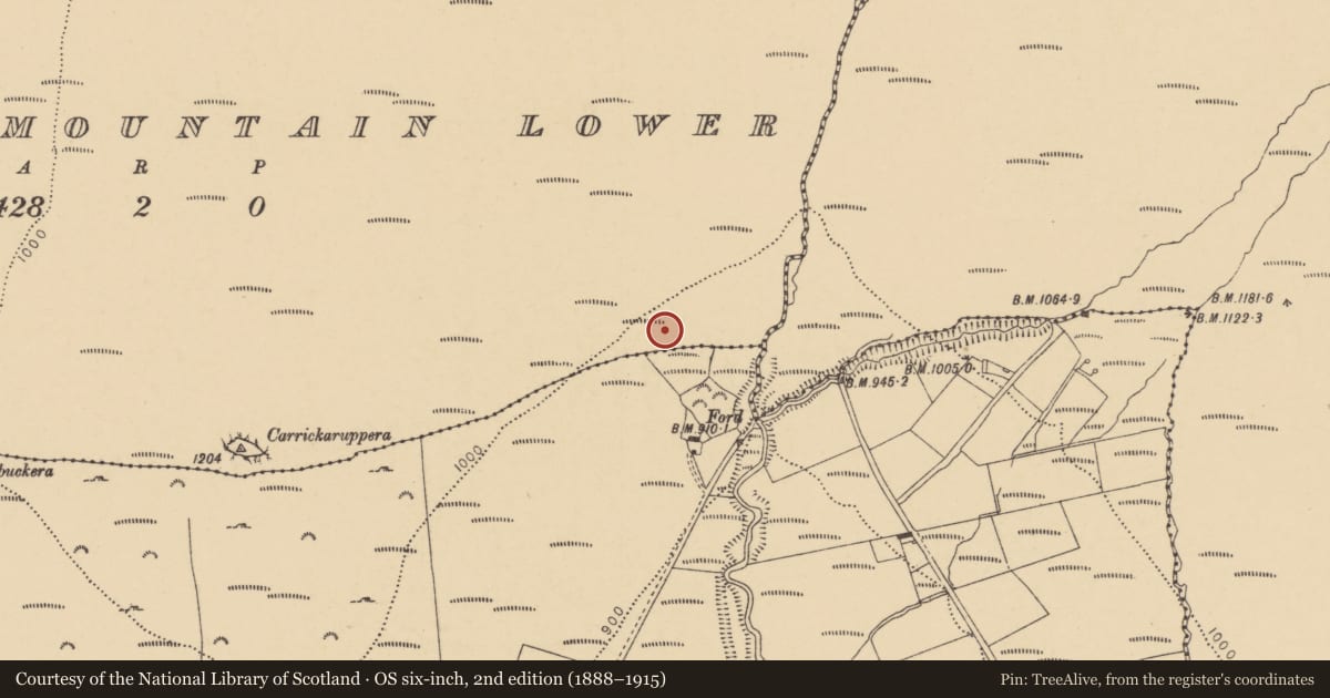 Ordnance Survey six-inch map, 2nd edition (1888–1915) covering the location of Enclosure, Barracreemountain Lower, County Waterford, with a pin at the register's coordinates
