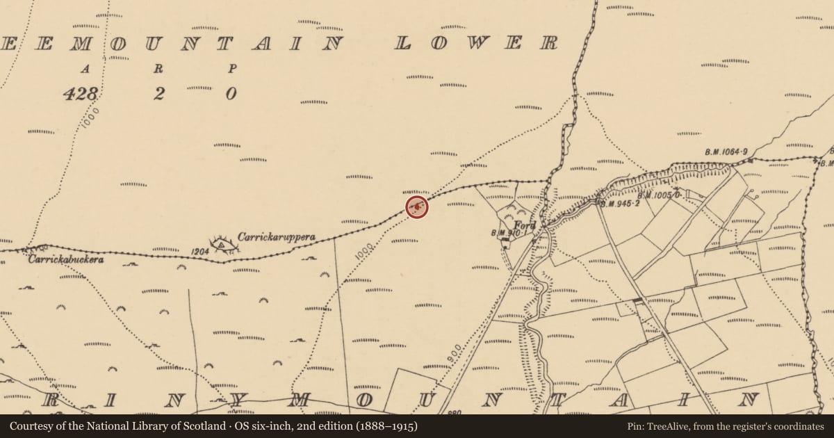 Ordnance Survey six-inch map, 2nd edition (1888–1915) covering the location of Standing stone, Scartnadrinymountain, County Waterford, with a pin at the register's coordinates