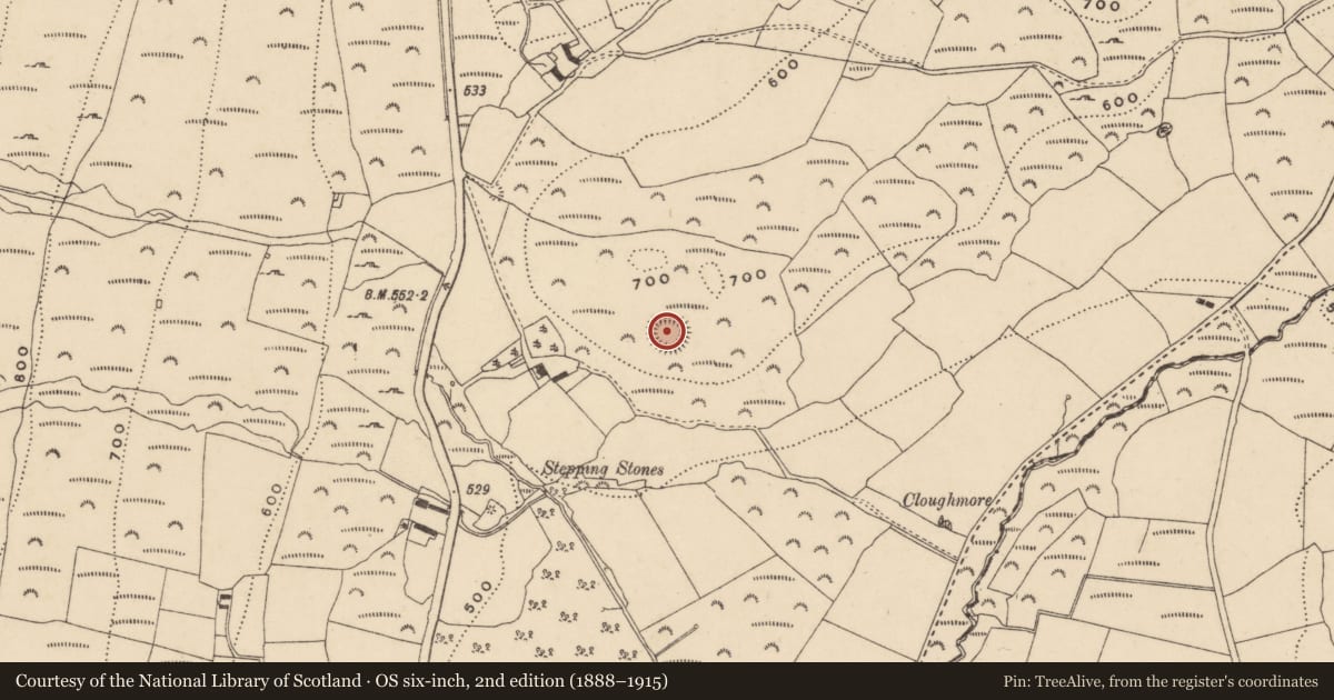 Ordnance Survey six-inch map, 2nd edition (1888–1915) covering the location of Ringfort - rath, Kilclooney, County Waterford, with a pin at the register's coordinates