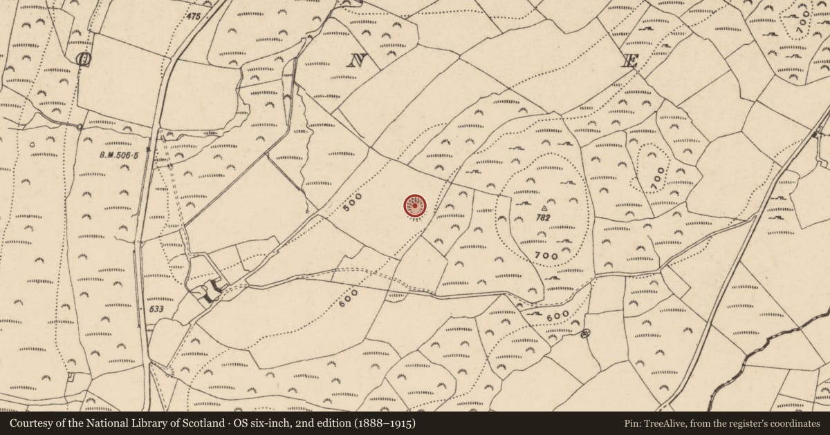 Ordnance Survey six-inch map, 2nd edition (1888–1915) covering the location of Ringfort - rath, Kilclooney, County Waterford, with a pin at the register's coordinates