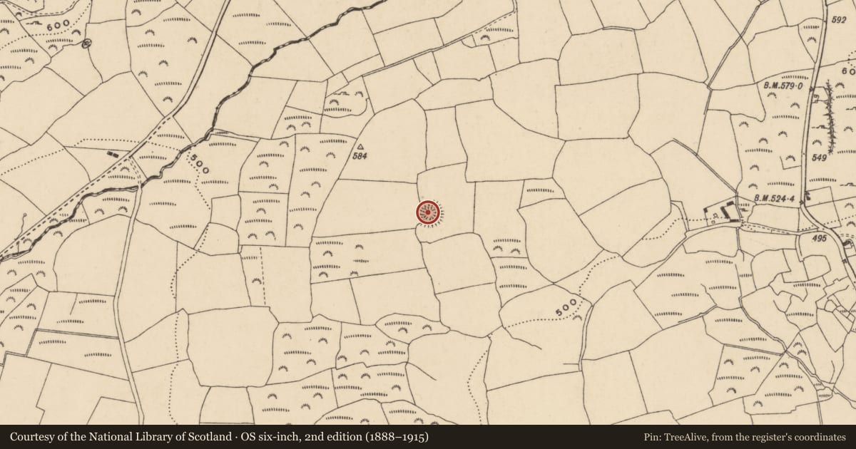 Ordnance Survey six-inch map, 2nd edition (1888–1915) covering the location of Ringfort - rath, Ashtown, County Waterford, with a pin at the register's coordinates