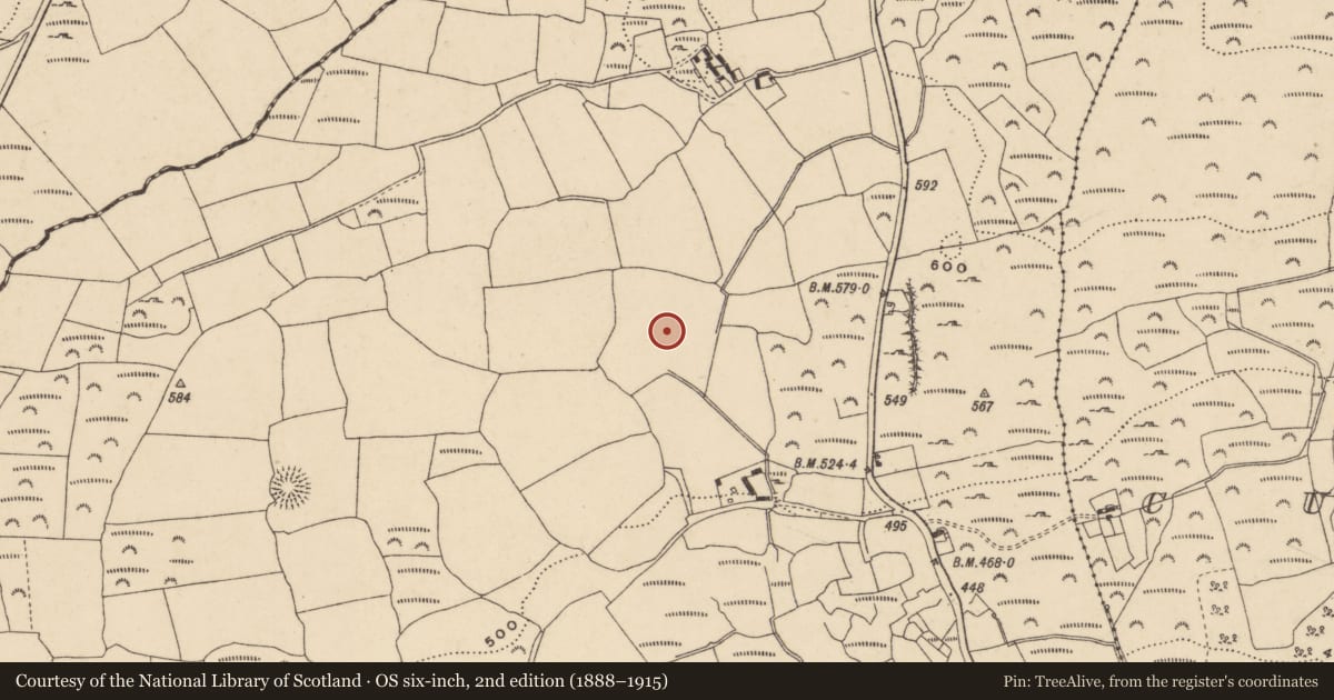 Ordnance Survey six-inch map, 2nd edition (1888–1915) covering the location of Earthwork, Ashtown, County Waterford, with a pin at the register's coordinates