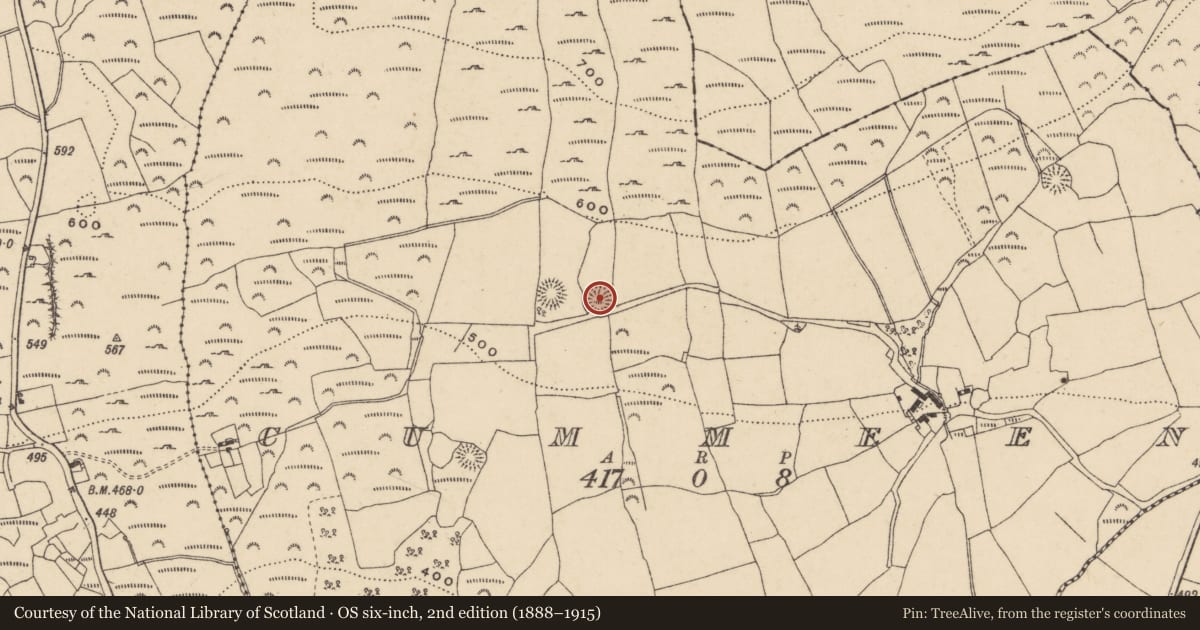 Ordnance Survey six-inch map, 2nd edition (1888–1915) covering the location of Enclosure, Cummeen, County Waterford, with a pin at the register's coordinates