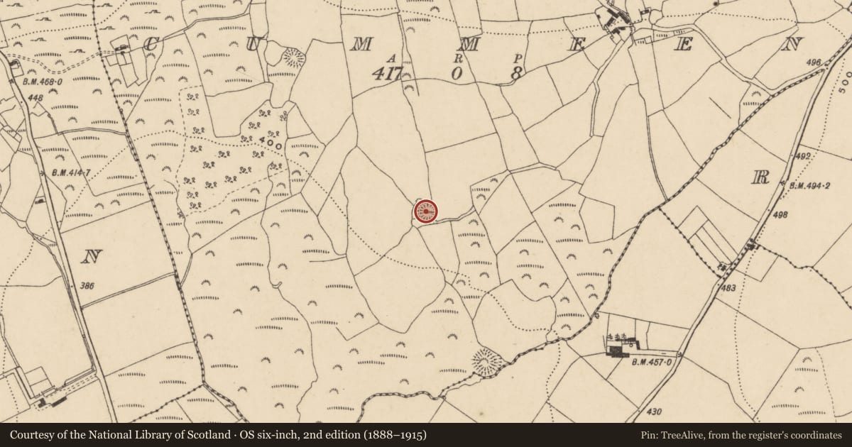 Ordnance Survey six-inch map, 2nd edition (1888–1915) covering the location of Ringfort - rath, Cummeen, County Waterford, with a pin at the register's coordinates