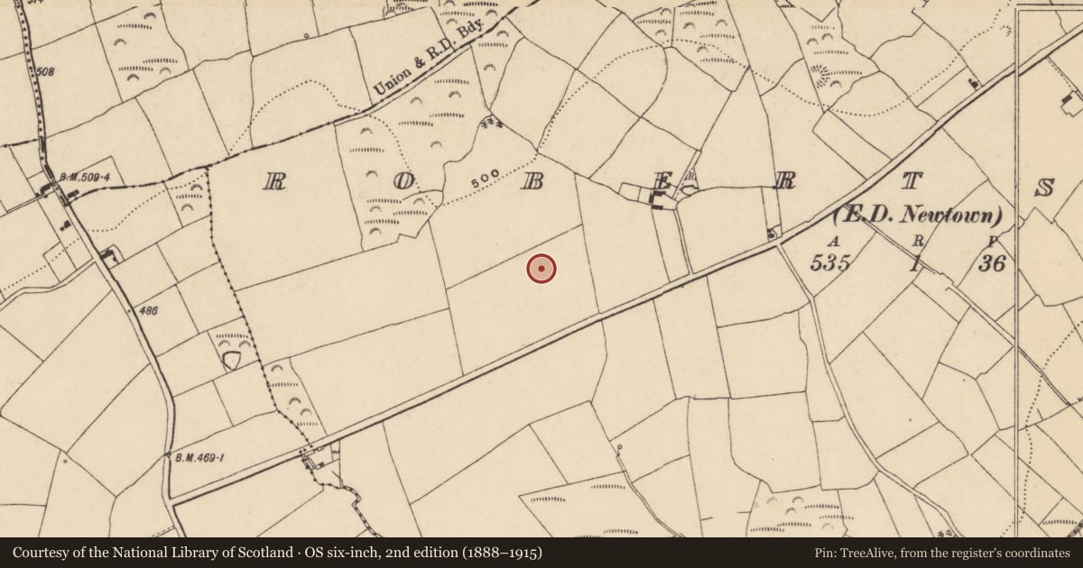 Ordnance Survey six-inch map, 2nd edition (1888–1915) covering the location of Enclosure, Robertstown (Decies without Drum By., Rossduff Par.), County Waterford, with a pin at the register's coordinates