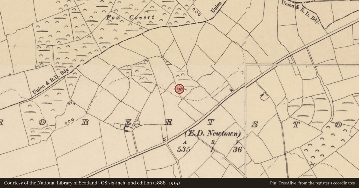 Ordnance Survey six-inch map, 2nd edition (1888–1915) covering the location of Ringfort - unclassified, Robertstown (Decies without Drum By., Rossduff Par.), County Waterford, with a pin at the register's coordinates