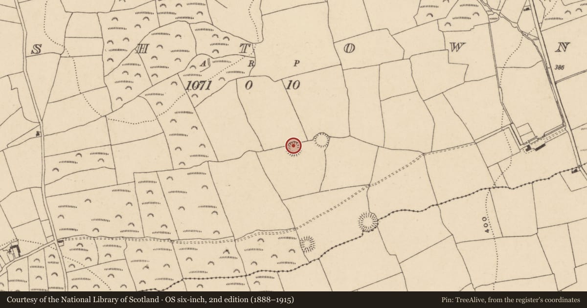 Ordnance Survey six-inch map, 2nd edition (1888–1915) covering the location of Enclosure, Ashtown, County Waterford, with a pin at the register's coordinates