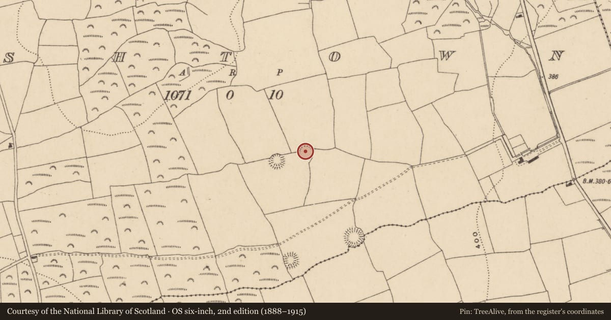 Ordnance Survey six-inch map, 2nd edition (1888–1915) covering the location of Ringfort - rath, Ashtown, County Waterford, with a pin at the register's coordinates