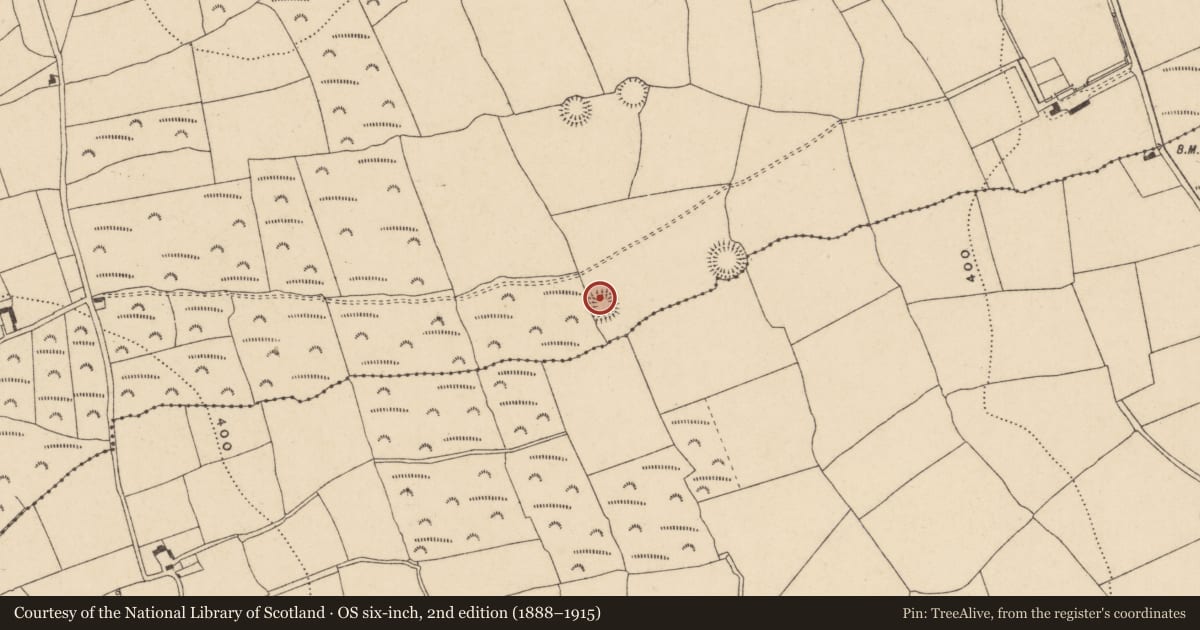 Ordnance Survey six-inch map, 2nd edition (1888–1915) covering the location of Enclosure, Ashtown, County Waterford, with a pin at the register's coordinates