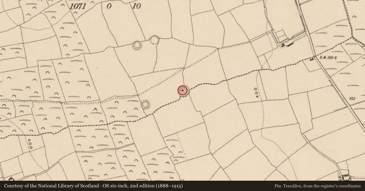 Ordnance Survey six-inch map, 2nd edition (1888–1915) covering the location of Ringfort - rath, Ashtown, Kealfoun, County Waterford, with a pin at the register's coordinates