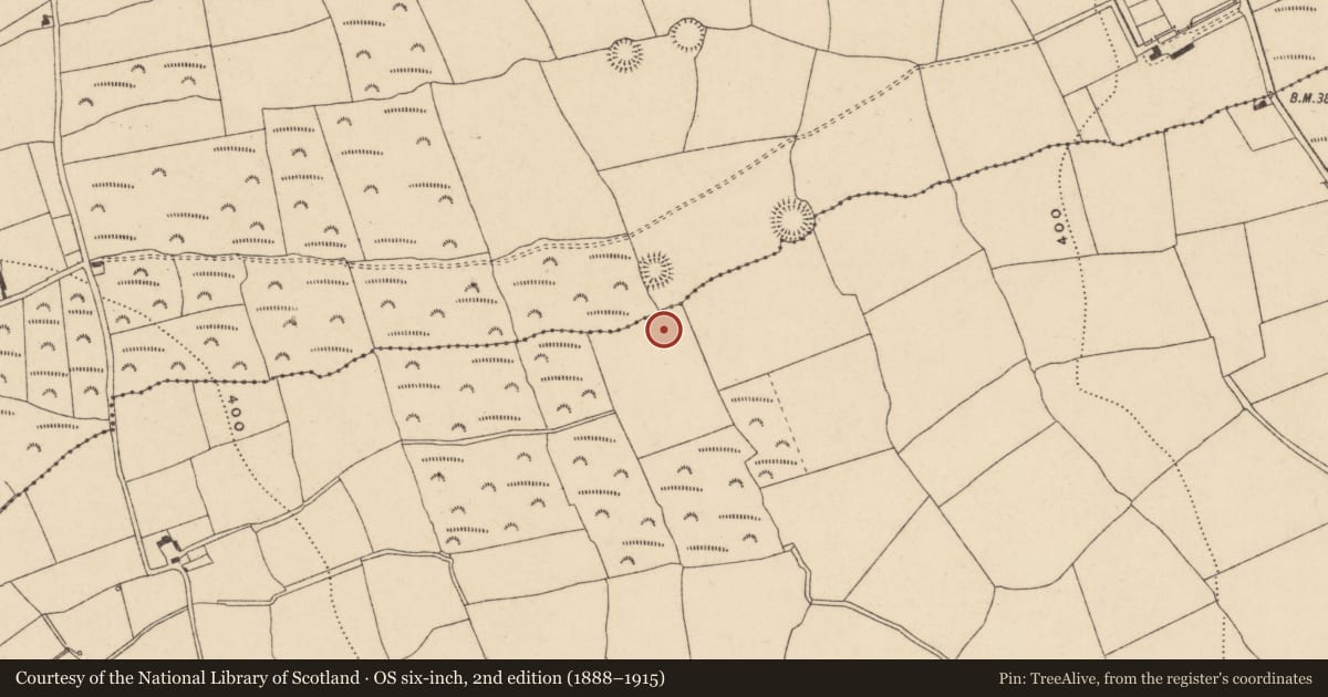 Ordnance Survey six-inch map, 2nd edition (1888–1915) covering the location of Earthwork, Kealfoun, County Waterford, with a pin at the register's coordinates