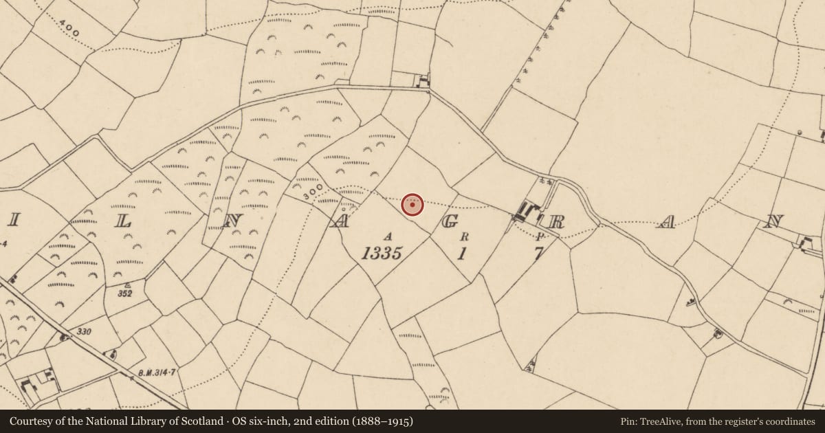 Ordnance Survey six-inch map, 2nd edition (1888–1915) covering the location of Earthwork, Kilnagrange, County Waterford, with a pin at the register's coordinates