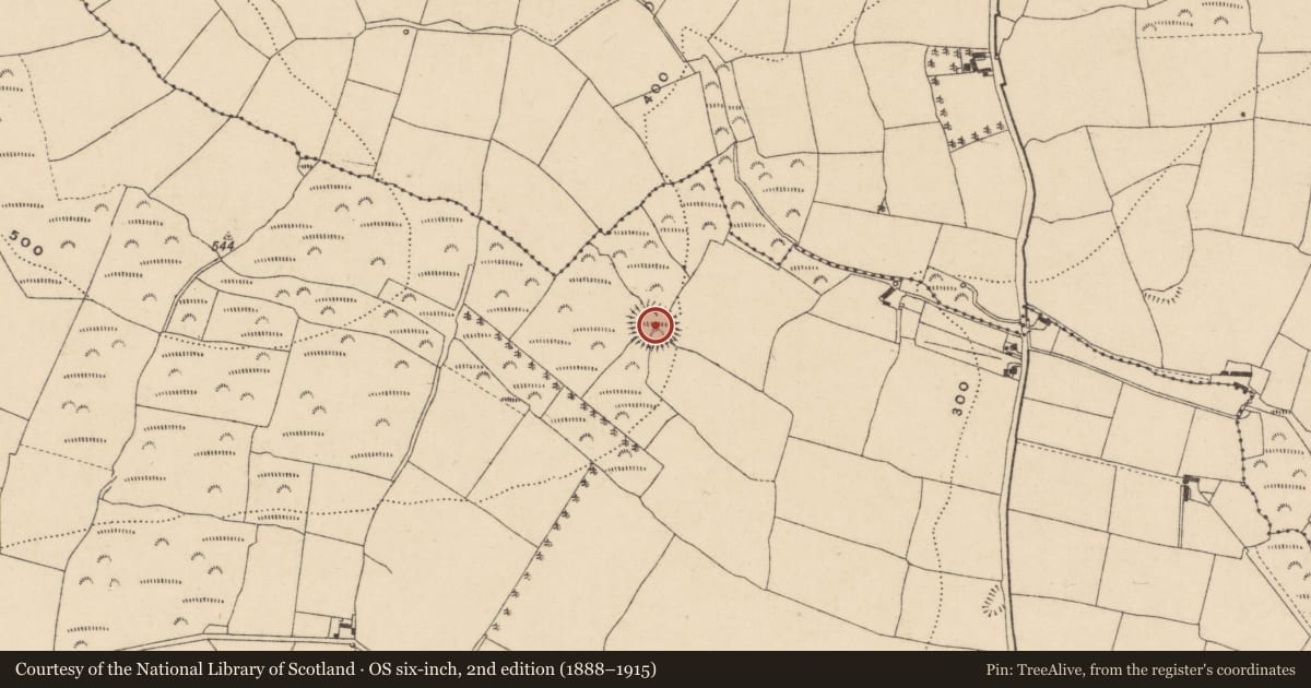 Ordnance Survey six-inch map, 2nd edition (1888–1915) covering the location of Ringfort - rath, Kilnagrange, County Waterford, with a pin at the register's coordinates