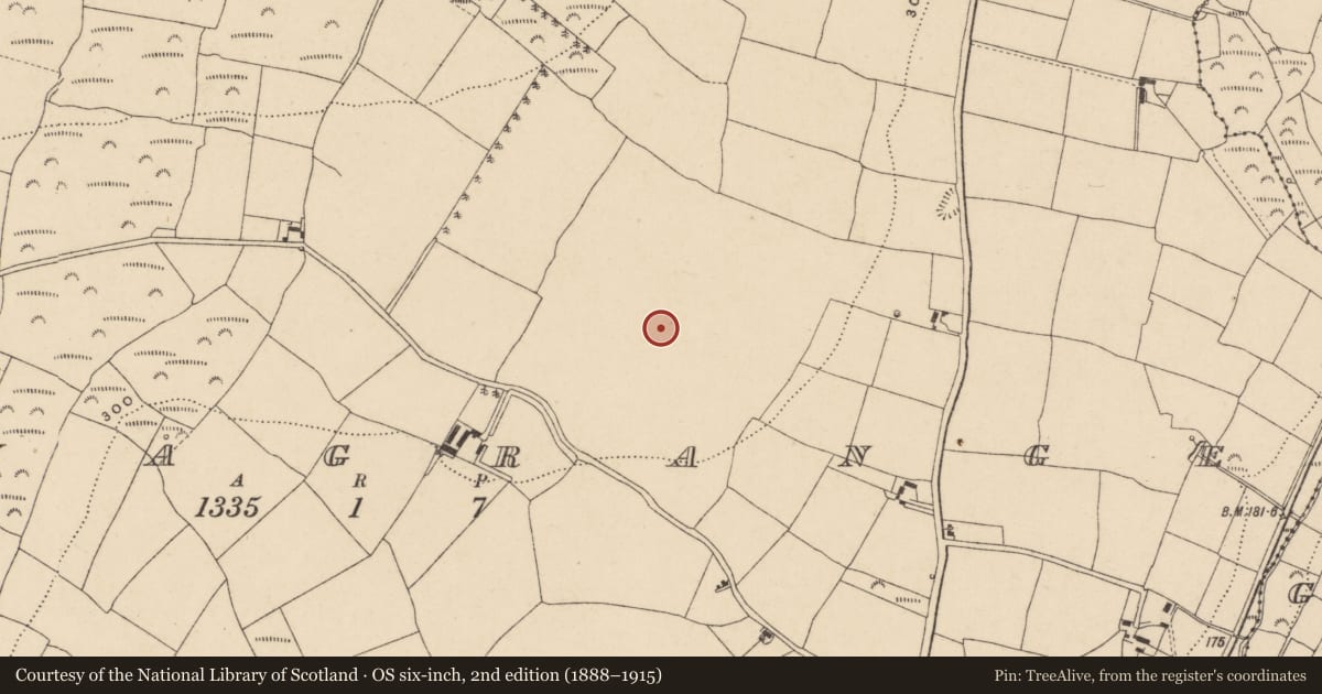 Ordnance Survey six-inch map, 2nd edition (1888–1915) covering the location of Designed landscape - tree-ring, Kilnagrange, County Waterford, with a pin at the register's coordinates