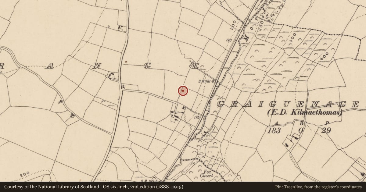 Ordnance Survey six-inch map, 2nd edition (1888–1915) covering the location of Earthwork, Kilnagrange, County Waterford, with a pin at the register's coordinates