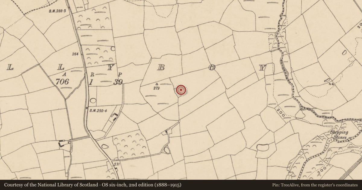 Ordnance Survey six-inch map, 2nd edition (1888–1915) covering the location of Ringfort - rath, Ballyboy, County Waterford, with a pin at the register's coordinates