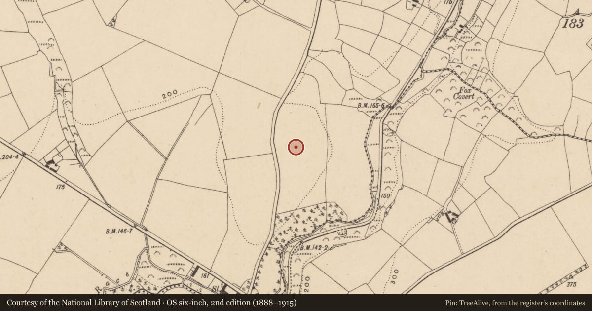 Ordnance Survey six-inch map, 2nd edition (1888–1915) covering the location of Church, Kilnagrange, County Waterford, with a pin at the register's coordinates