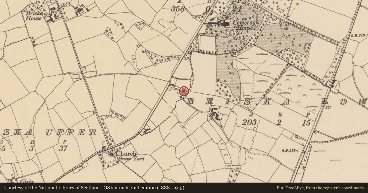 Ordnance Survey six-inch map, 2nd edition (1888–1915) covering the location of Enclosure, Comeraghhouse, County Waterford, with a pin at the register's coordinates