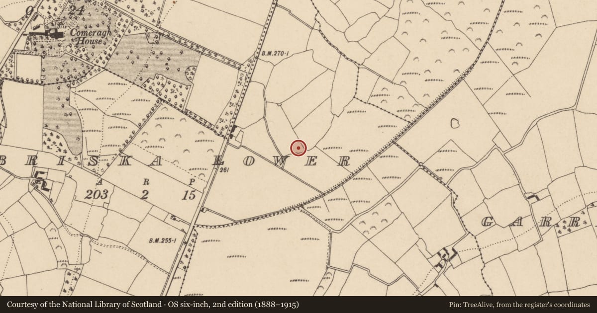 Ordnance Survey six-inch map, 2nd edition (1888–1915) covering the location of Ringfort - unclassified, Briska Lower, County Waterford, with a pin at the register's coordinates
