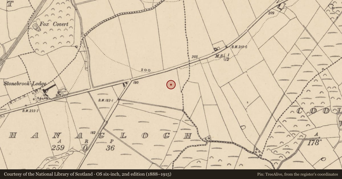 Ordnance Survey six-inch map, 2nd edition (1888–1915) covering the location of Fulacht fia, Ahanaglogh, County Waterford, with a pin at the register's coordinates