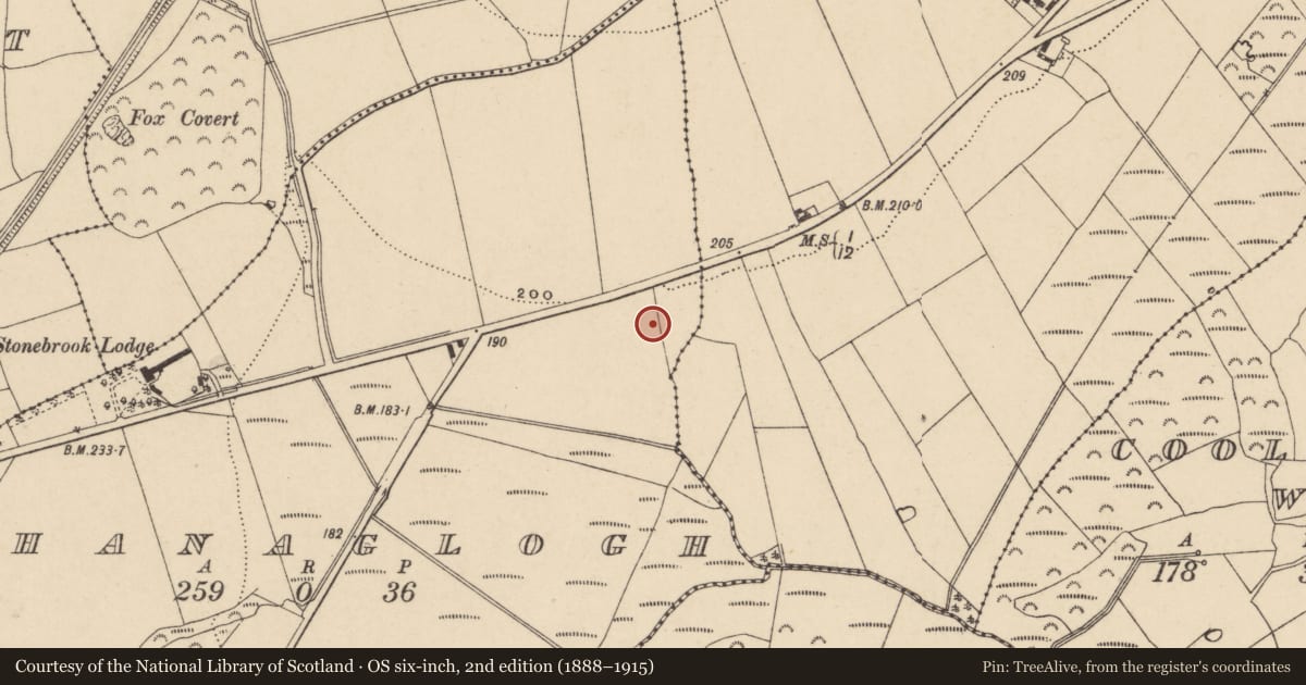 Ordnance Survey six-inch map, 2nd edition (1888–1915) covering the location of Habitation site, Ahanaglogh, County Waterford, with a pin at the register's coordinates