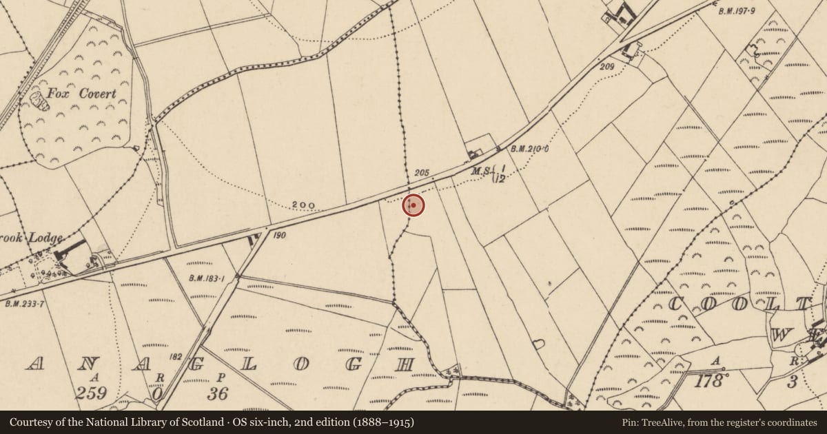 Ordnance Survey six-inch map, 2nd edition (1888–1915) covering the location of Excavation - miscellaneous, Graigueshoneen, County Waterford, with a pin at the register's coordinates